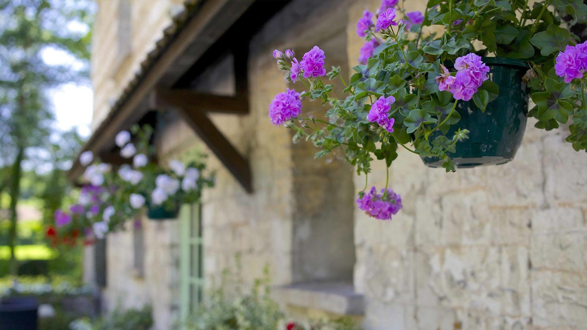 Moulin De Mombreux Hotel Lumbres Bagian luar foto